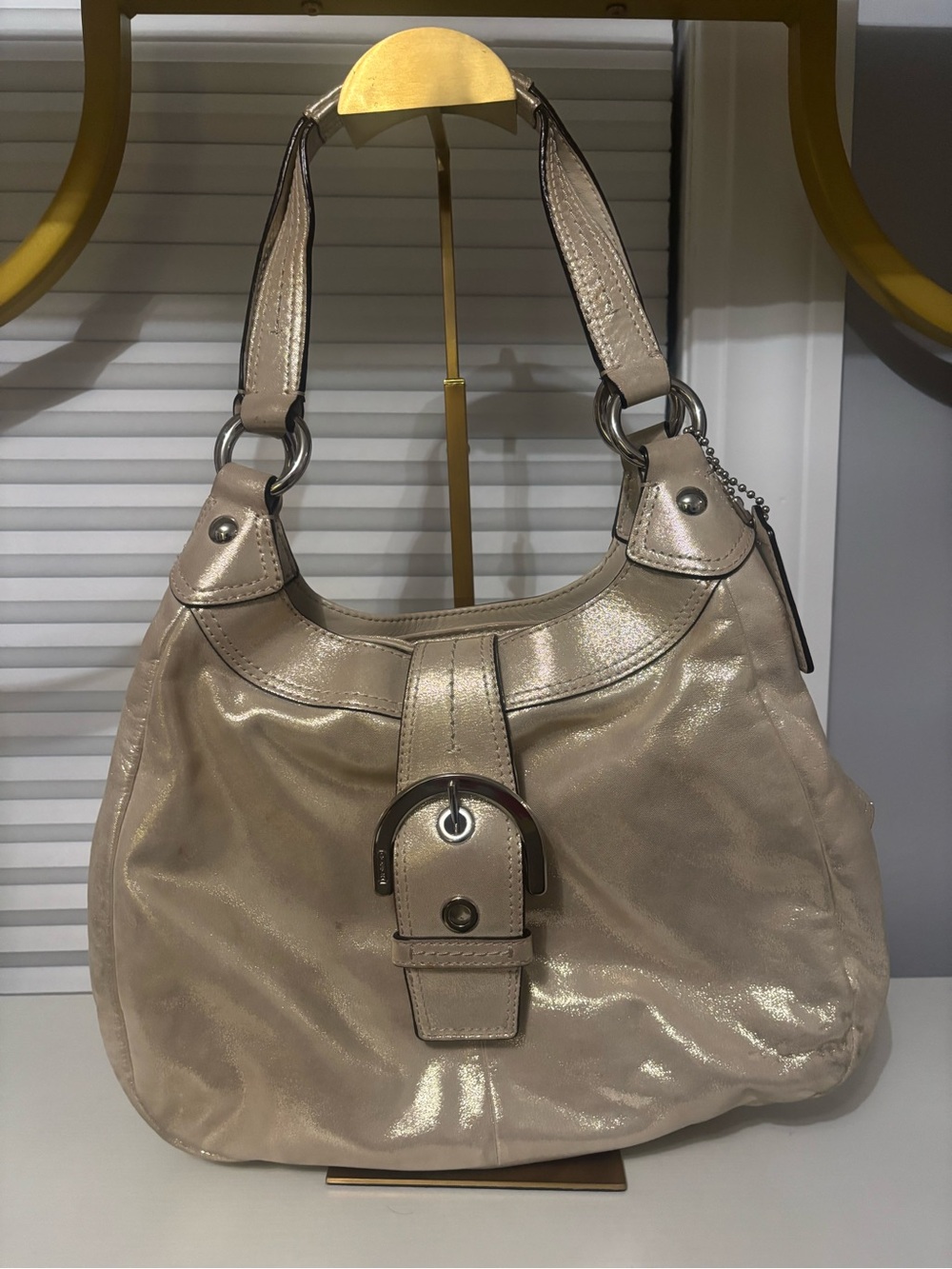 Coach Soho Lynn hobo bag in a metallic
